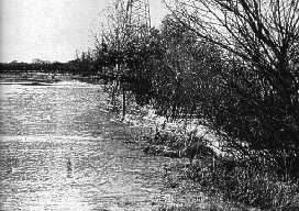 199811031_3.jpg (14224 Byte)